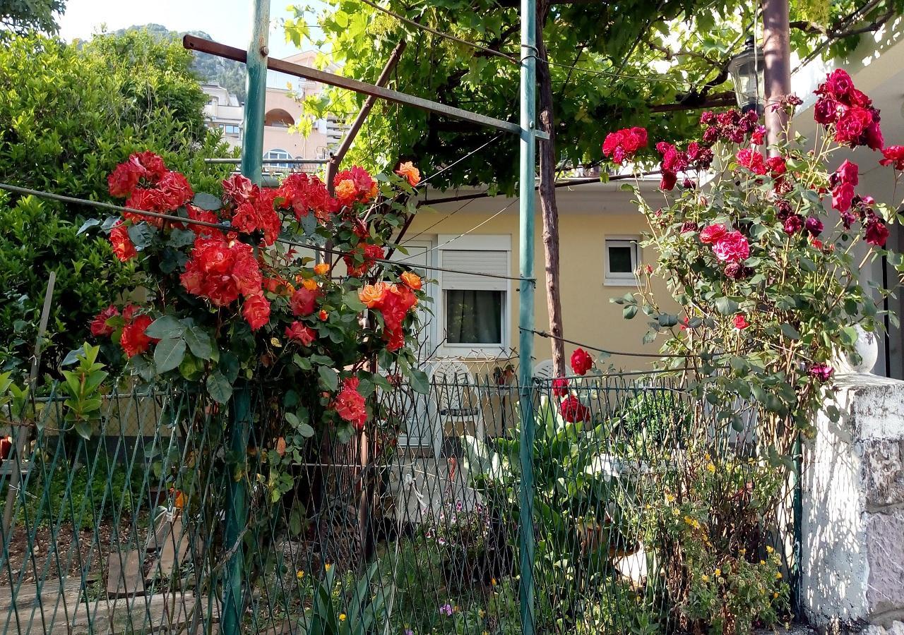 Apartman Lora Budva Kültér fotó